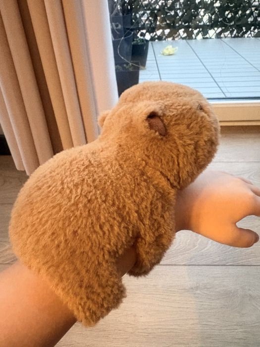 Pluszak kapibara na rękę