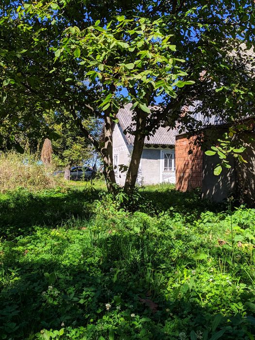 Земля під комерцію  Дім Будинок в Мигово