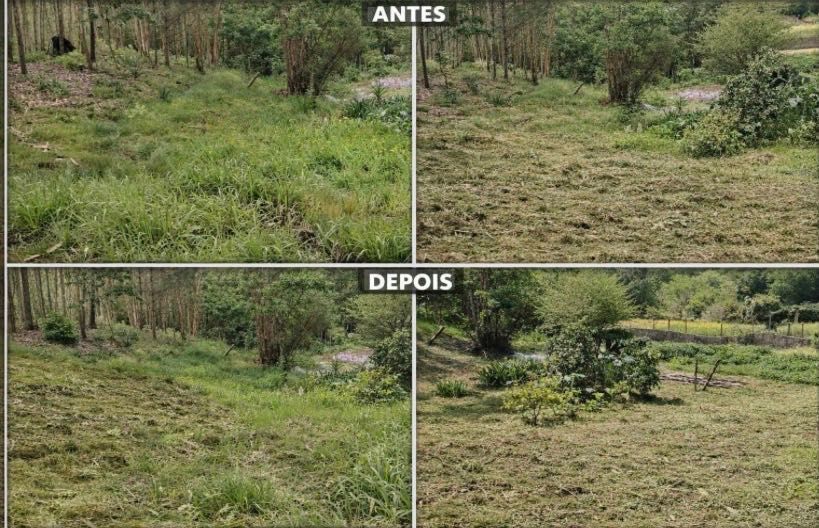 Limpeza de terrenos e pinturas
