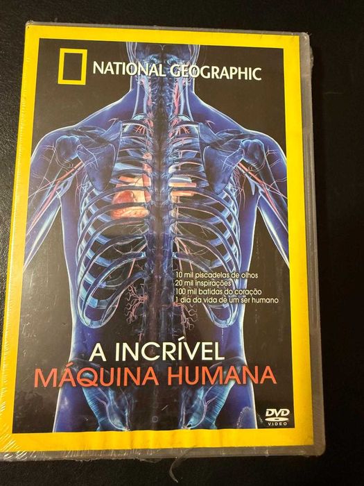 DVD "A incrível máquina humana"