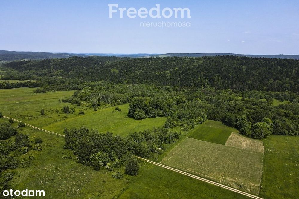1,38 ha pod siedlisko, działka widokowa