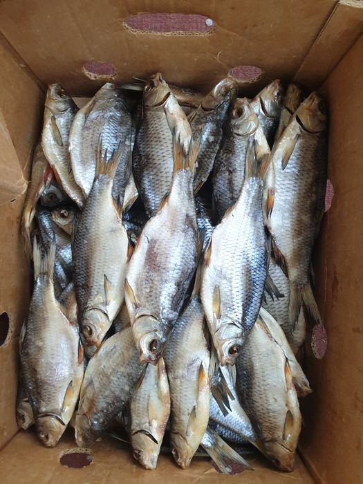 Тарань щука Лящь сушена з ікрою. Плотва вобла Синець