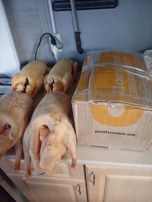 Утки Мулард,тушки