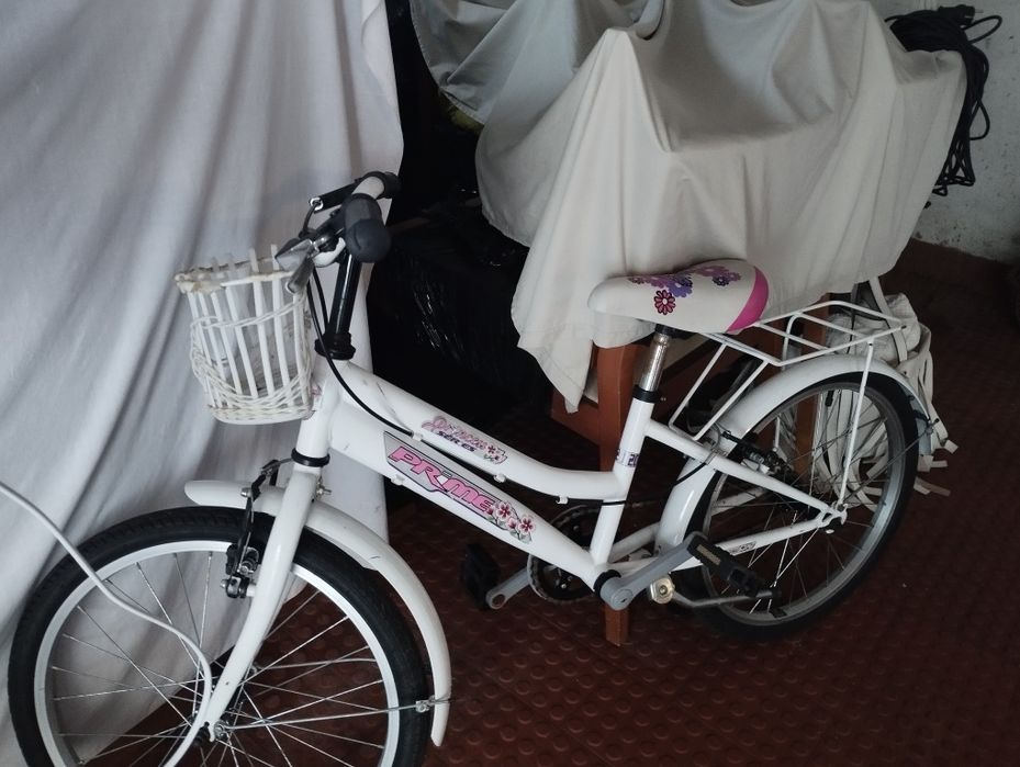 Bicicleta infantil 20 polegadas