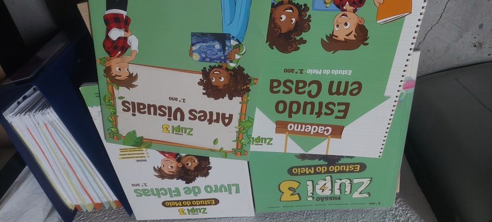 Livro Fichas e Manuais Escolares 3º Ano