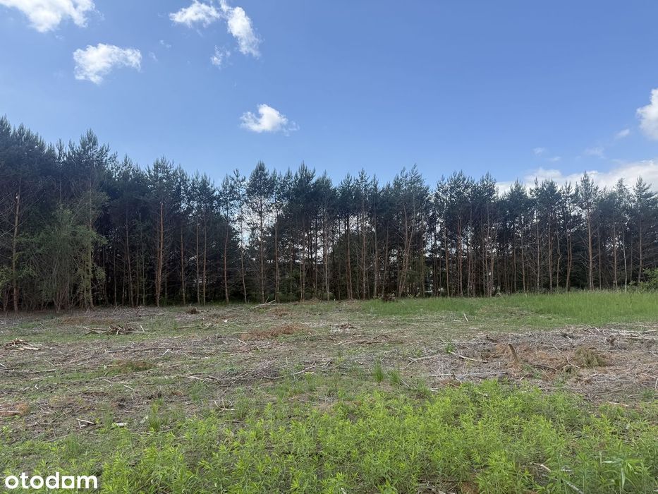 Działka idealna pod wymarzony dom lub inwestycje - Widok 5