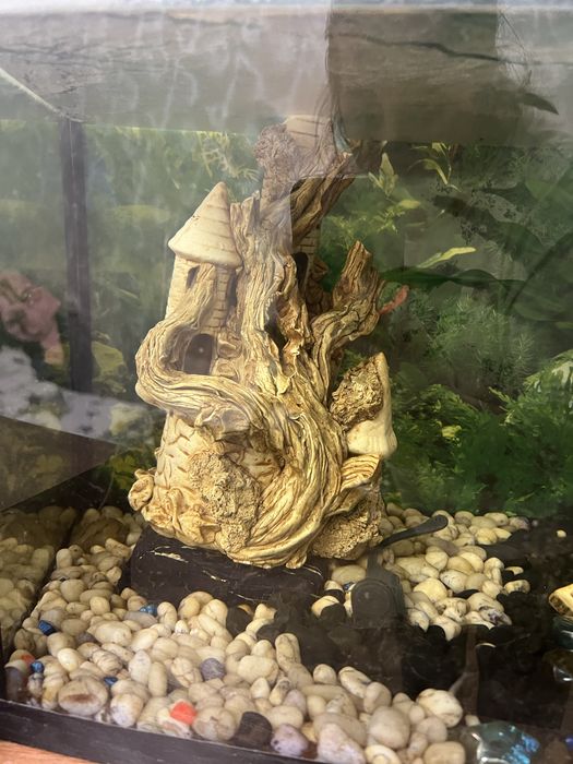 Аквариум на 100 л