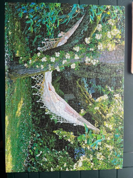 1000-Piece Puzzle423055824667299841