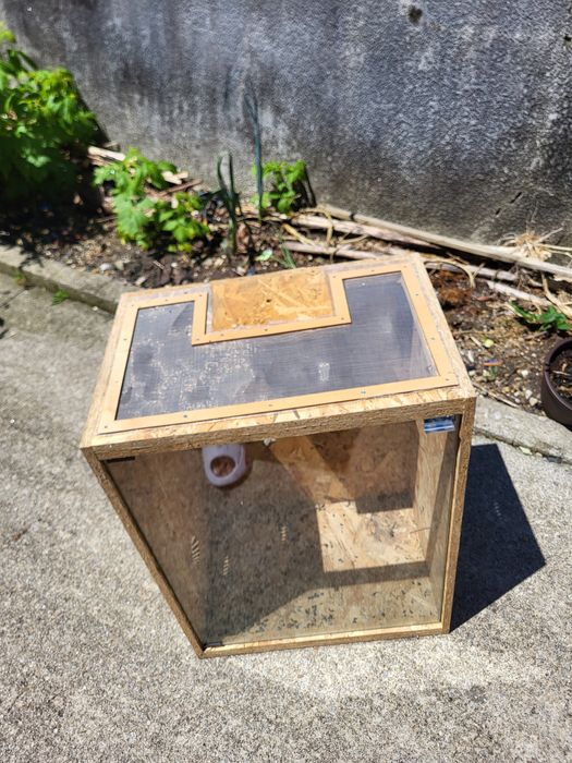 Terrário em madeira