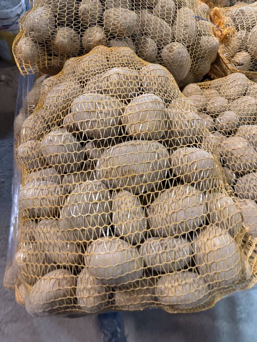 Ziemiaki jadalne soraya