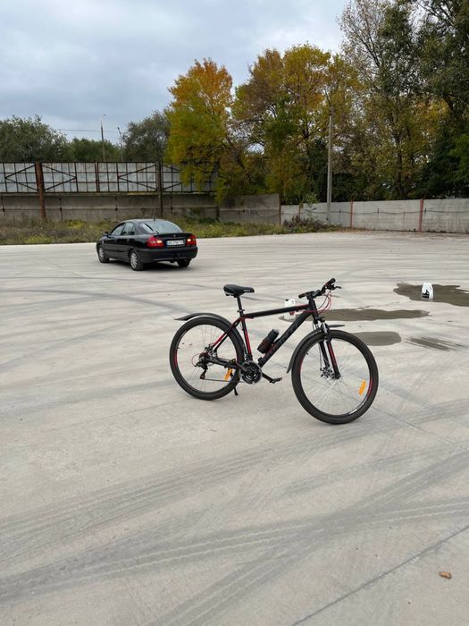 Гірський Велосипед Avanti 29