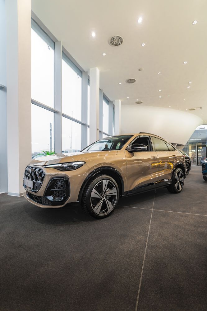 business-site-gallery-photo