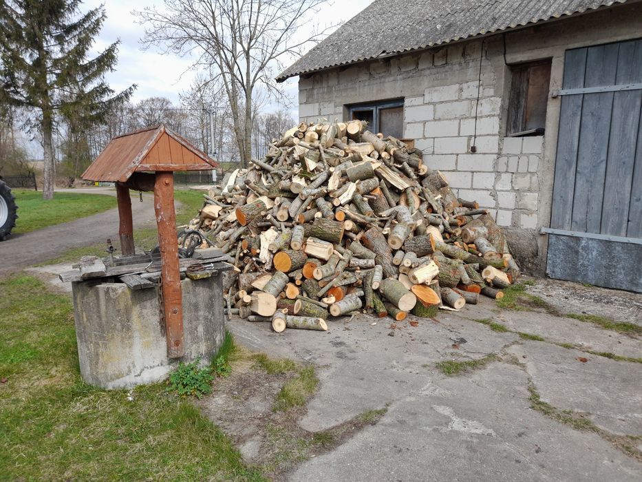 Drzewo drewno opałowe gotowe prosto do pieca. Przyczepa  transport