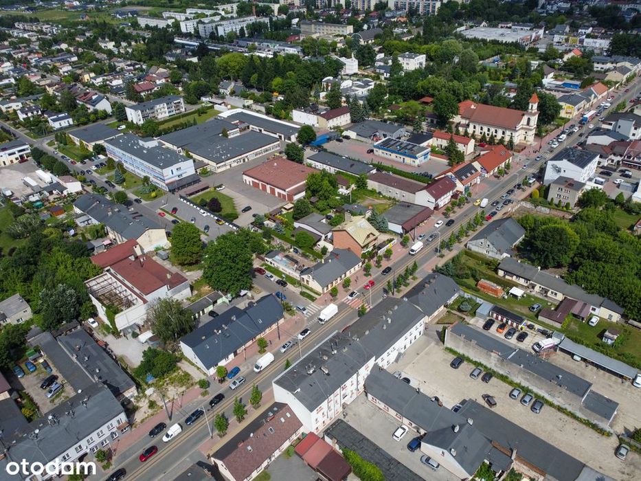 Zdjęcie 7
