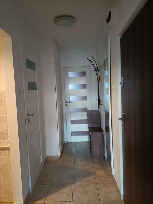 Mieszkanie do wynajęcia