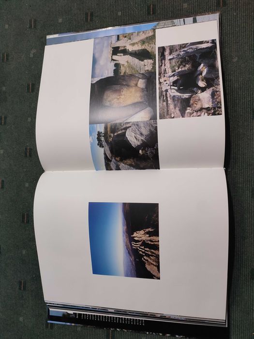 Distrito de Viseu Terra de Alegrar o Coração - António Homem Cardoso