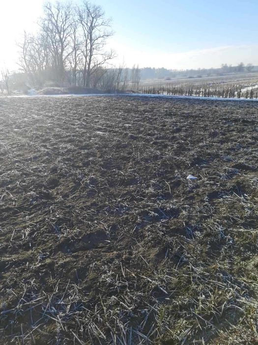продаж земельної ділянки сільськогосподарського призначення