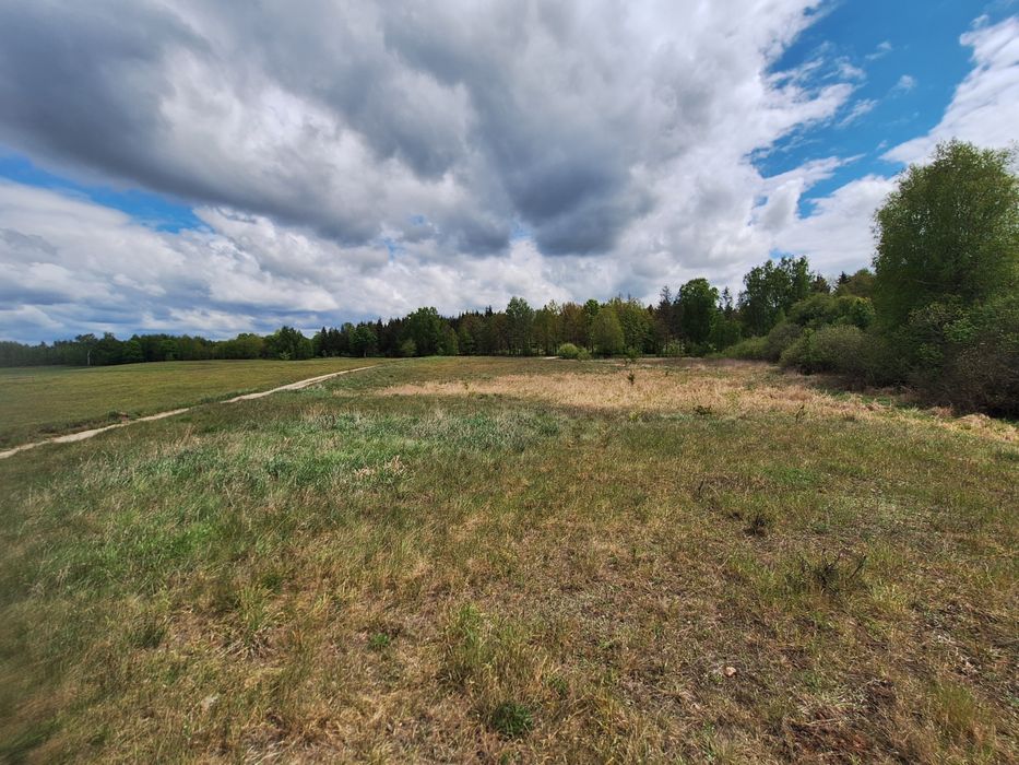 Sprzedam atrakcyjne działki w miejscowości Rożyńsk.