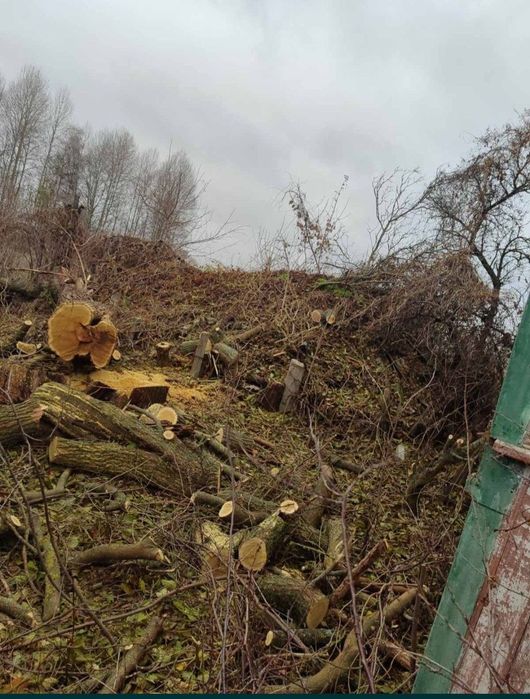 Видалення аварійних дерев,розпил дров,розчищення територій