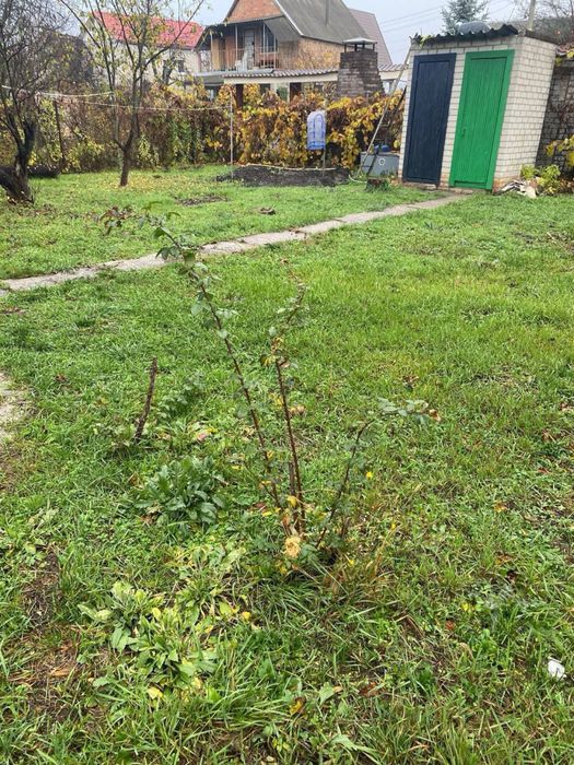 Сдам дом Подгородном Садовое Товариство