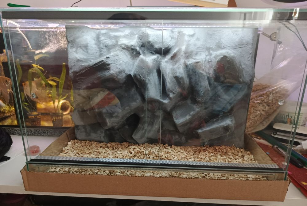 Terrarium nowe ze ścianką