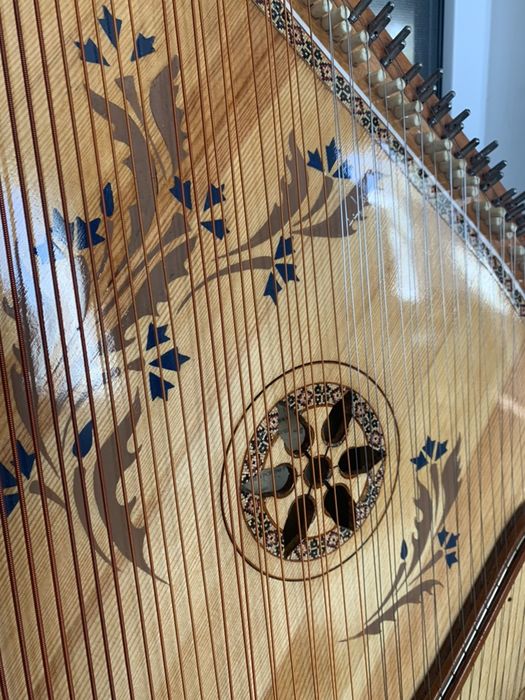 Бандура чернігівська проста !