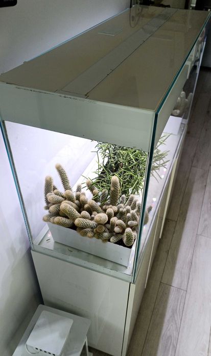 Akwarium Aquael glossy 120 cm 260 l