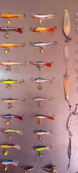 Барансири, блешні Зимові