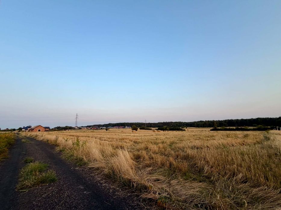 Zdjęcie 2