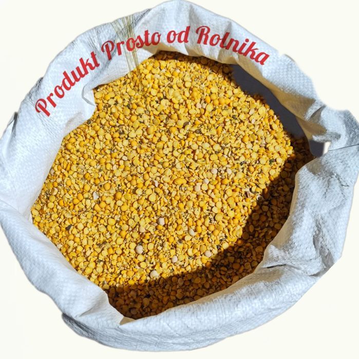 Groch drobny opakowanie 25kg wysyłka natychmiast Inpost