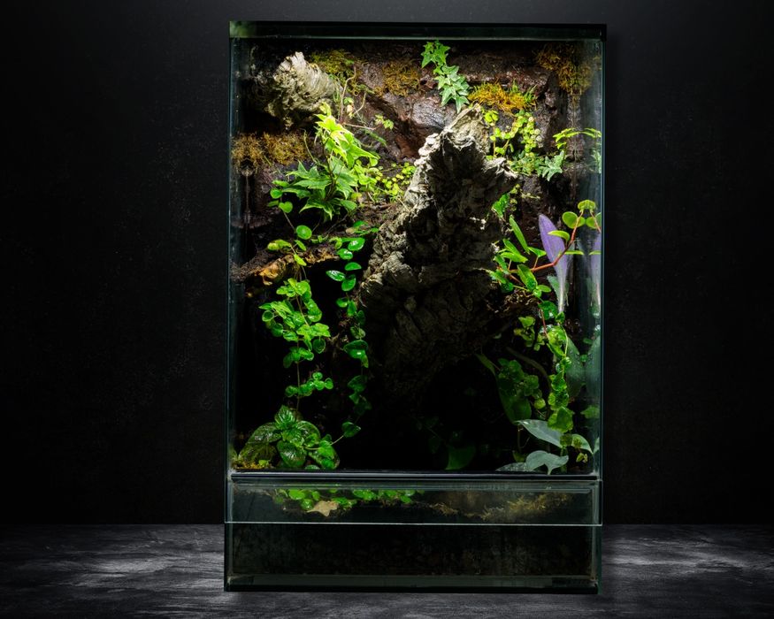 Terrarium tropikalne 40x40x60 gekon