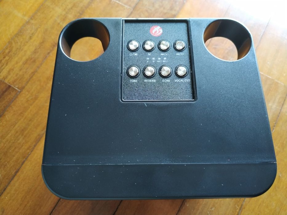 Coluna e microfones de karaoke sem fio