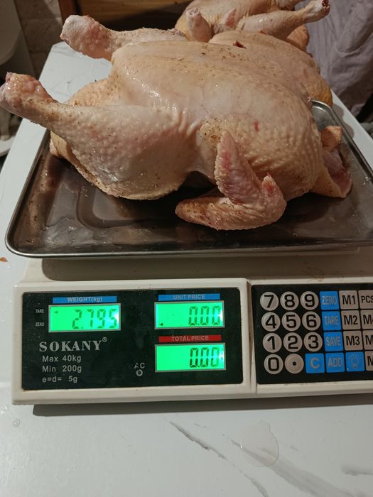 Бройлер домашній