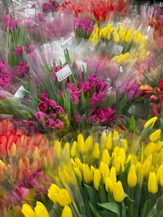 Тюльпани до свята