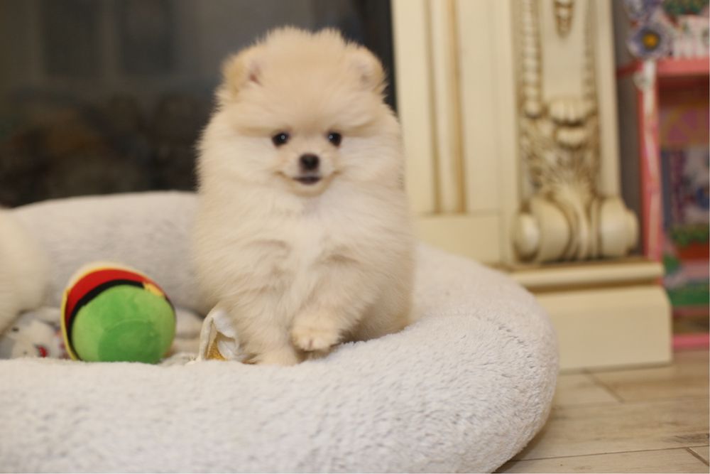 Дівчинка міні  перлинка