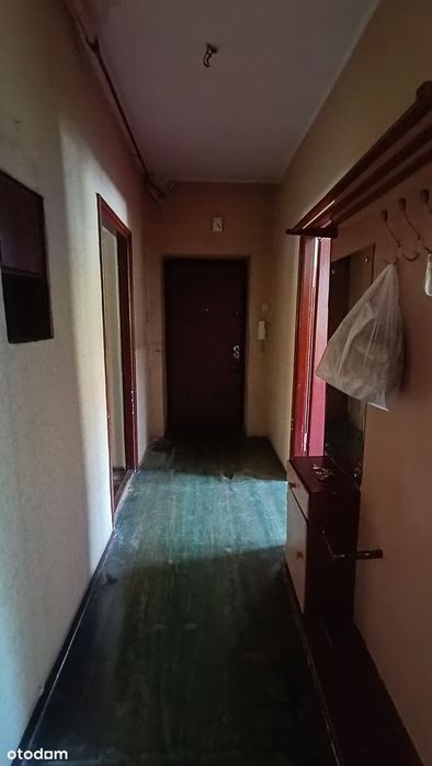 3 pokoje |parter Centrum Zabrza Idealne pod biznes Parking |Dla rodzin