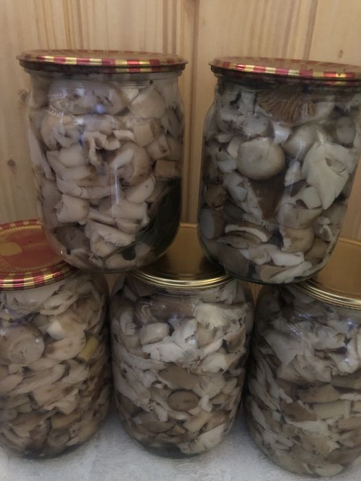 Мариновані гриби