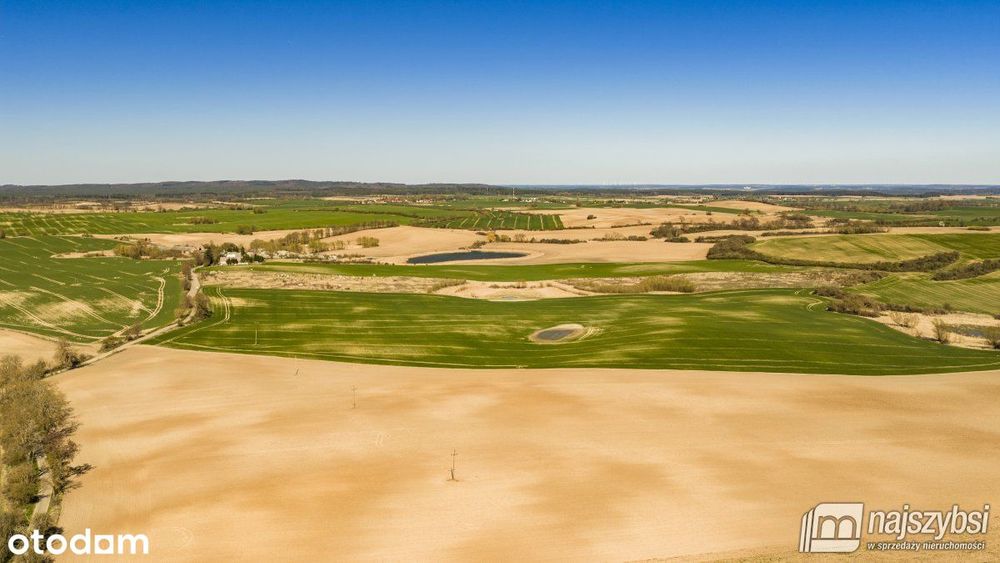 Niesułów-Działka Rolna 6,39 Ha Klasa III