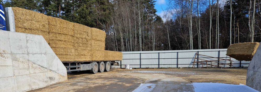 Słoma paszowa jęczmienna owsiana duża kostka bele transport