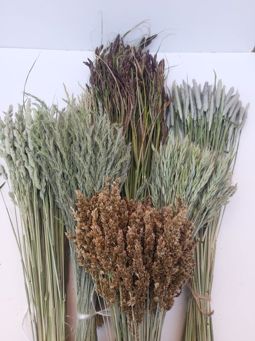 Пшениця,сухоцвіти, лісова трава. Терміново.