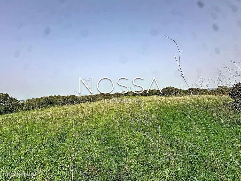 Terreno Rústico nas Raposeiras