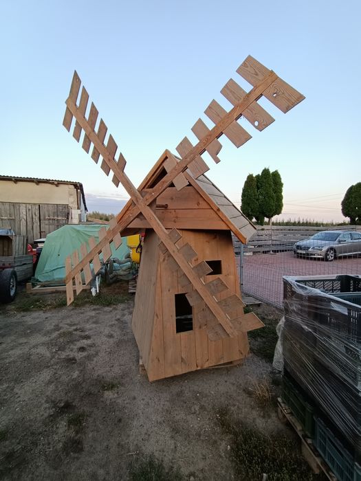 Wiartak ozdobny, ogród