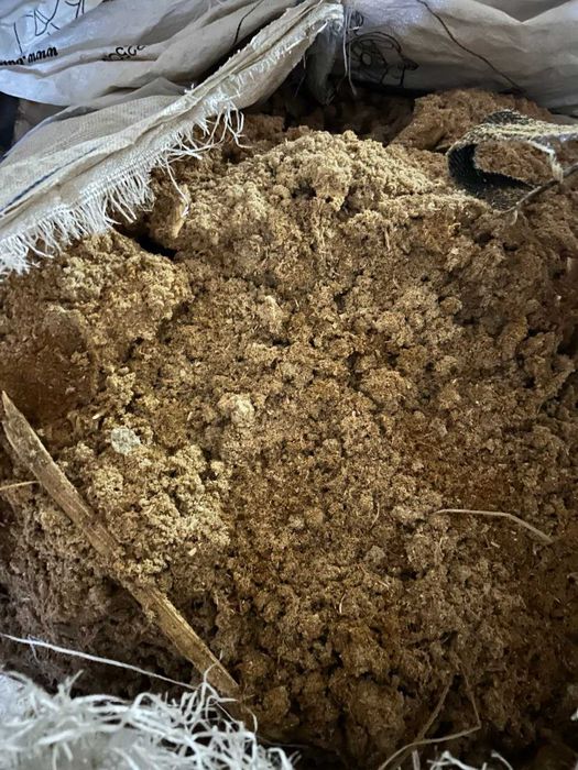 Віддам тирсу безкоштовно