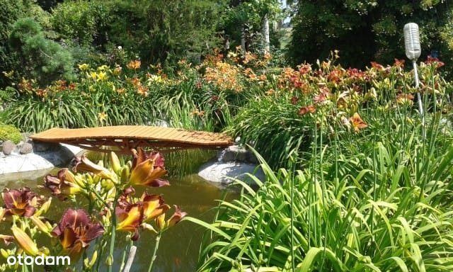 Działka Rekreacyjna z Kw