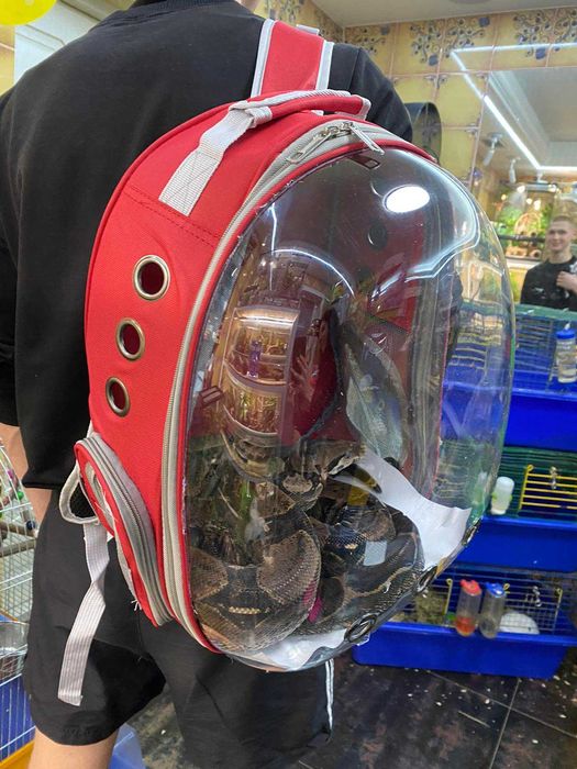 Переноска - рюкзак для птахів, гризунів, рептилій, тхориків тощо