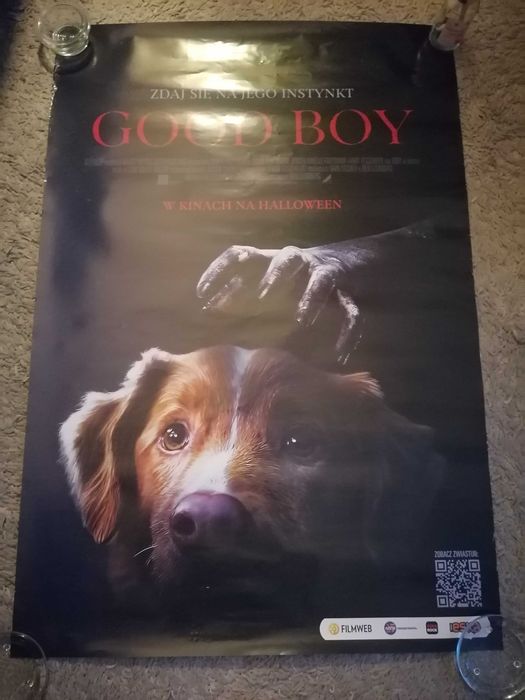 Plakat z horroru ,,Good Boy,,