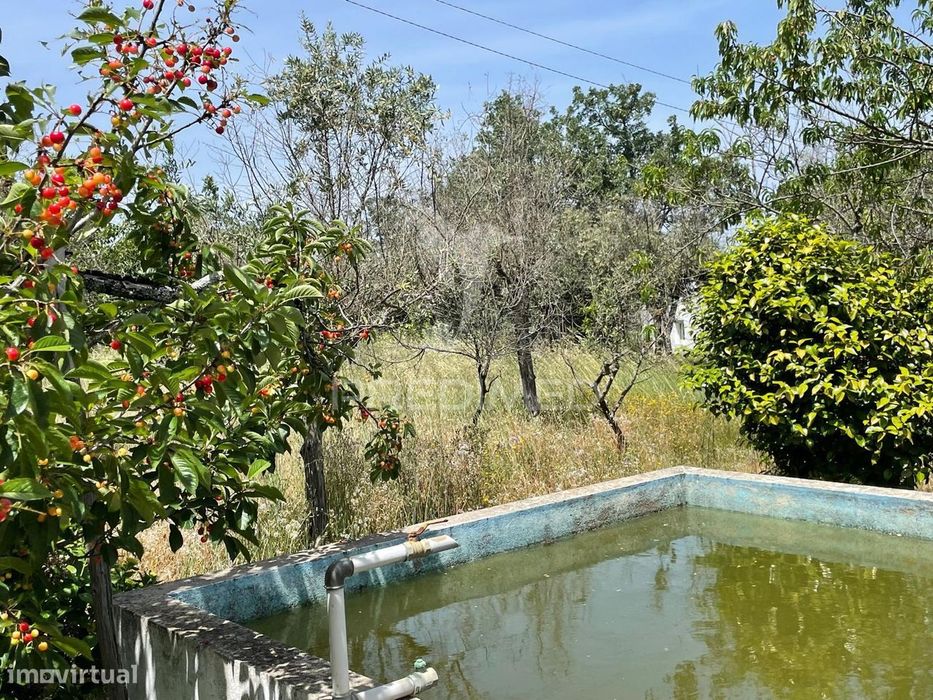 Quinta T4 no coração da Serra de S. Mamede, Portalegre