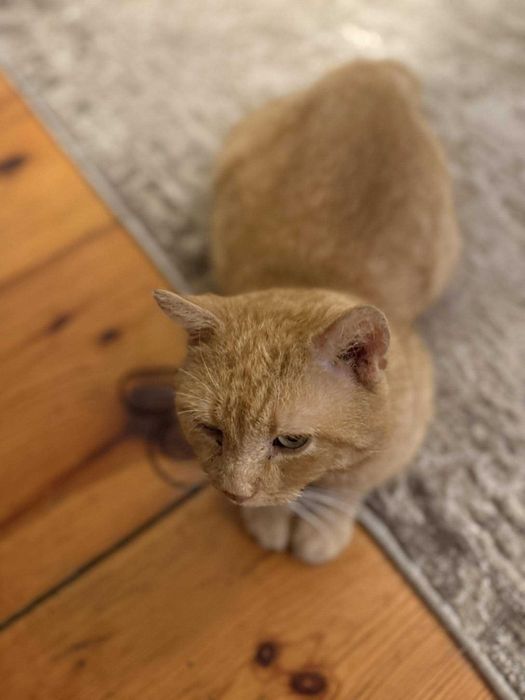 Rudolf – 9-letni dżentelmen, który wciąż wierzy w ludzi