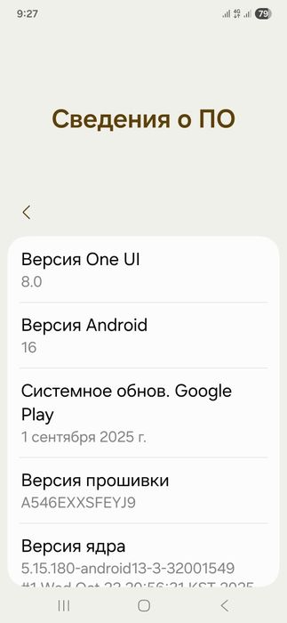 Самсунг а 54 6-128