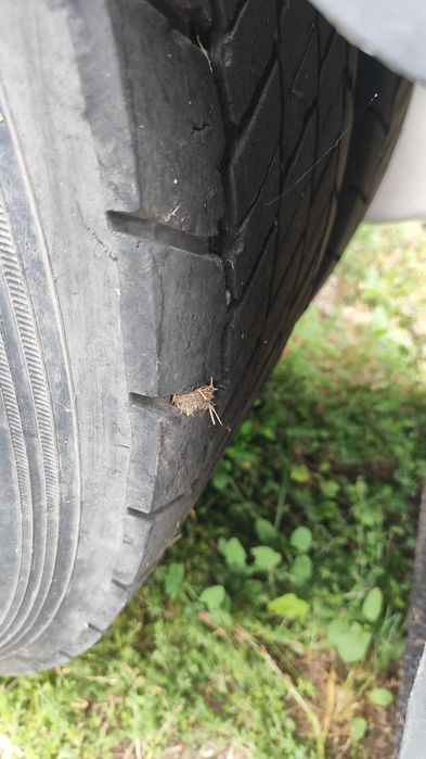 Рено преміум dxi440